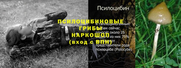 PSILOCYBIN Балабаново