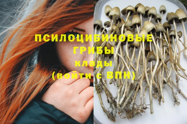 ECSTASY Балахна