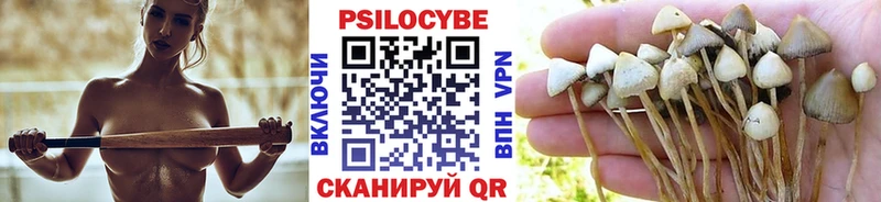 Галлюциногенные грибы мухоморы  наркошоп  Покровск 